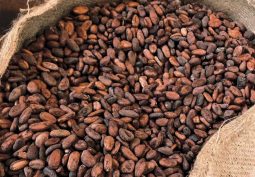 Ivory Coast threatens more expensive cocoa in response to US tariffs
