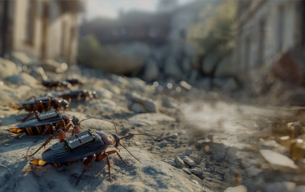 Spy cockroaches and AI robots: Germany plots the future of warfare