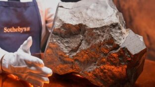 Largest Mars rock ever found on Earth sells for $4.3m at auction