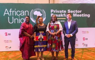 $100 Billion Investment Agenda: The African Union, GIZ, Sterling One Foundation rally private sector to invest in Africa's Women and Youth