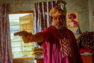 Exploring the Vibrant Fusion of Nigerian Nollywood and Netflix: A Cultural Cinematic Revolution