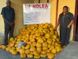 Husband and wife sentenced to 22 years imprisonment for drug trafficking