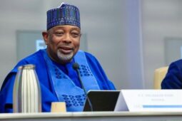 Nigeria unveils policies to Transform Food Systems