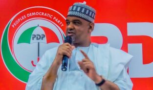 PDP postpones screening of aspirants for national convention 