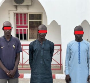 Three suspected Naira Mutilation arrested in Maiduguri   
