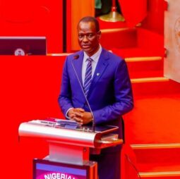 Senate confirms Oyedele’s appointment as minister