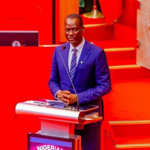 Senate confirms Oyedele’s appointment as minister