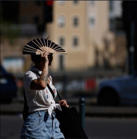Power outages hit France as it records hottest day since measurements began
