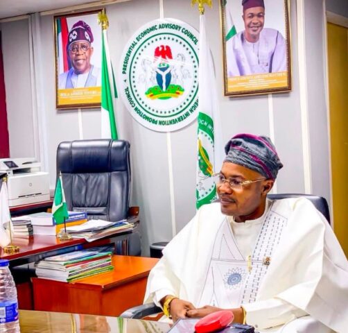 Re: The Matter of Adeniyi Adeyemi Matthew and the fictitious Presidential Economic Advisory Council