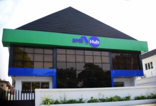 Nigeria’s SMEs: Resilient, Essential and in need of the Right Partners